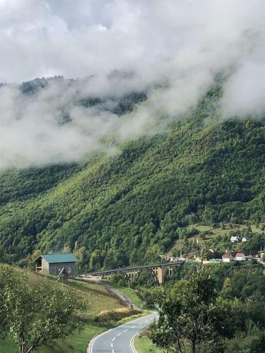 a winding road on a hill with a trainurrencyternessternessternessstrationstrationpects at Rooms DVORIŠTA in Žabljak