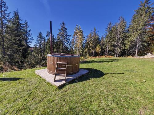 a wooden hot tub in a field with a ladder at Casa Popasul lui Horea in Vartop