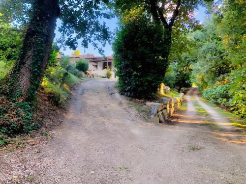 a dirt road with two trees and a house at Oasi Des Mirabelles - Gîte in Mirabel-aux-Baronnies