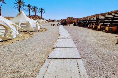 a row of tents on a sandy beach with palm trees at חאן מחצבת הגבס - Glamping Gypsum Quarry 