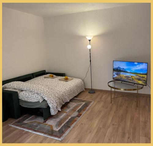 TV a/nebo společenská místnost v ubytování Chez Aaron I T2 I Saint-Genis