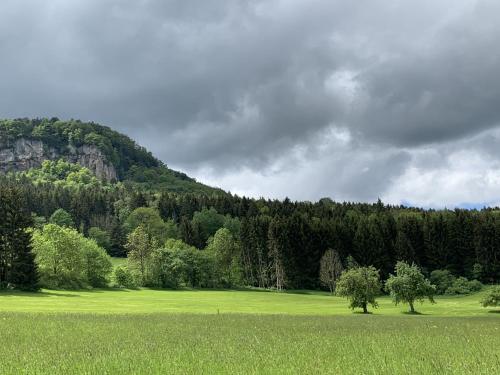 a green field with trees and a mountain at Albtrauf Chalet in Albstadt