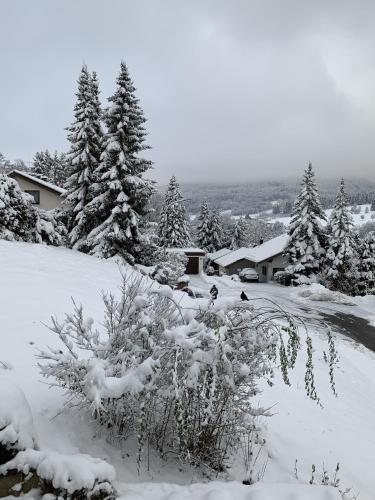 a snow covered field with trees and houses at Albtrauf Chalet in Albstadt