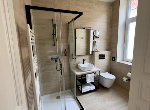 a bathroom with a shower and a sink and a toilet at Hotel Evropa in Celje
