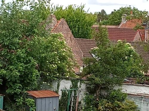 vue d'un groupe de maisons et d'arbres dans l'établissement L'orient express, à Marcq-en-Barœul