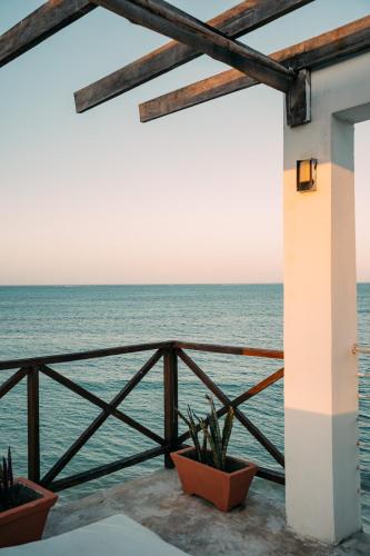 a view of the ocean from a house at ZAN Tropical Island in Bwejuu
