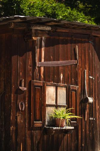 a wooden wall with a window and a plant at Ca d' Vetu in Roccaforte Mondovì