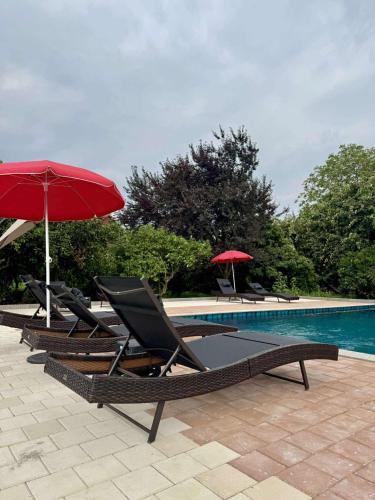 two lounge chairs and umbrellas next to a swimming pool at Senima's paradise - Pool & Cottages in Batumi