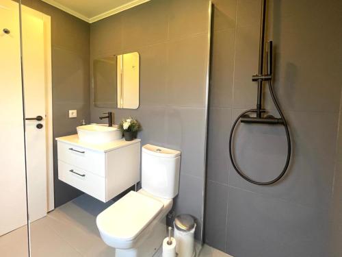 a bathroom with a toilet and a sink and a shower at Pomar da Choca Country House in Alenquer