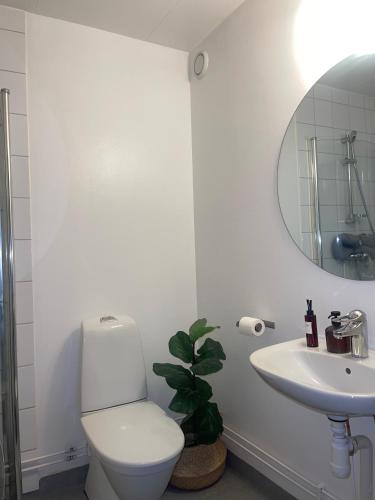 a white bathroom with a toilet and a sink at Familjevänligt radhus in Arlöv