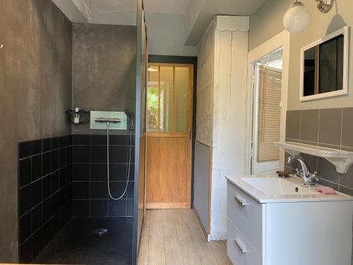 a bathroom with a shower and a sink at Maison de Famille avec Jardin - Coeur du village - Zoo de Beauval in Saint-Aignan