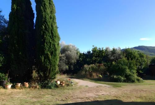 Φυσικό τοπίο κοντά σε αυτό το κατάλυμα σε φάρμα