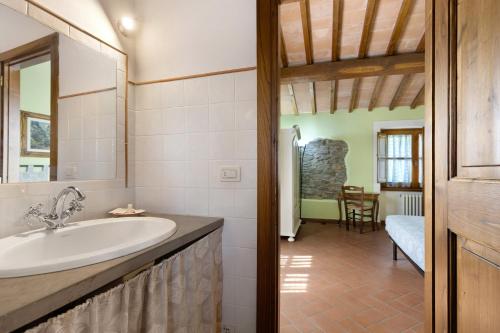 a bathroom with a sink and a mirror at Agriturismo I Cipressi in Pontassieve