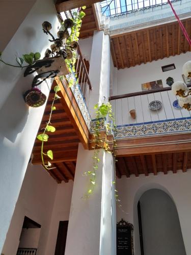 a staircase in a building with plants on it at hostel four seasons in Tetouan