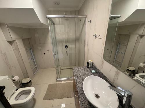 a bathroom with a toilet and a sink and a shower at Iguazu Lofts in Puerto Iguazú