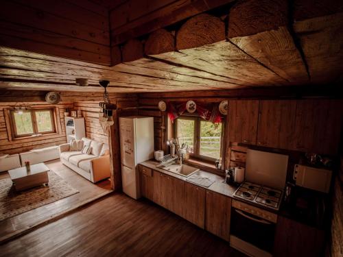 a kitchen and living room in a log cabin at Casa Alexia in Mătişeşti