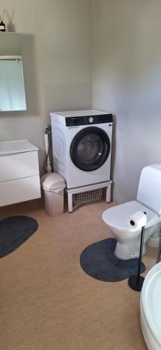 a bathroom with a washing machine and a toilet at Storgata 78, Leknes sentrum in Leknes