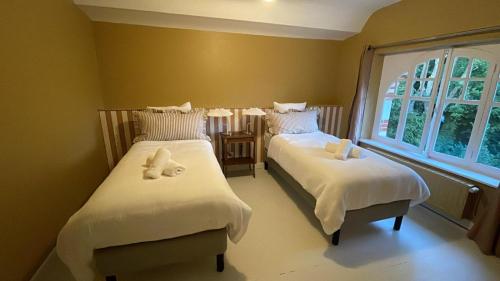 a bedroom with two beds and a window at La villa Hortense in Valençay