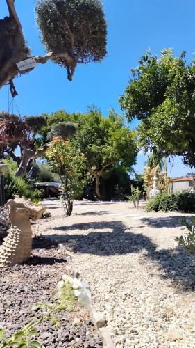 a gravel yard with trees and a blue sky at Ca dei Tati -Citr 1181 with Jacuzzi in Imperia