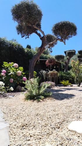 a garden with trees and flowers on a gravel path at Ca dei Tati -Citr 1181 with Jacuzzi in Imperia
