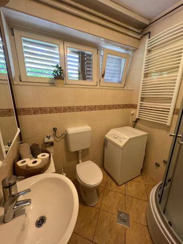 a small bathroom with a toilet and a sink at IDa House in Sveti Ivan Zelina