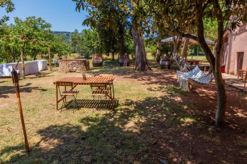 a picnic table and a hammock in a yard at Agriturismo La Concia in Gavorrano