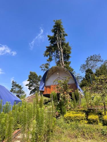 a dome building in the middle of a field at Dieng glamping syari'ah in Dieng