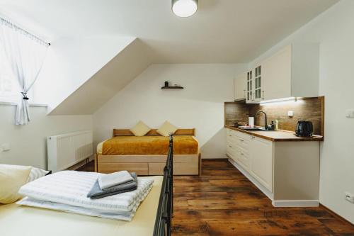 a small room with a bed and a kitchen at Šumavská Vlčice - Penzion Žleby in Stožec
