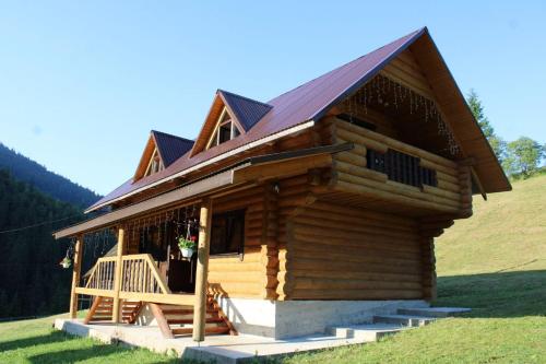 a log cabin on a hill with a porch at Шепіт Карпат in Synevyrsʼka Polyana
