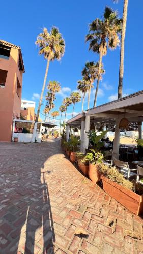 a brick walkway with palm trees and a building at Anfa Training Bed and Breakfast in Bouznika