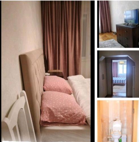 Apartament Botanica