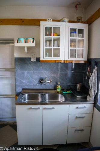 Apartman Ristovicにあるキッチンまたは簡易キッチン