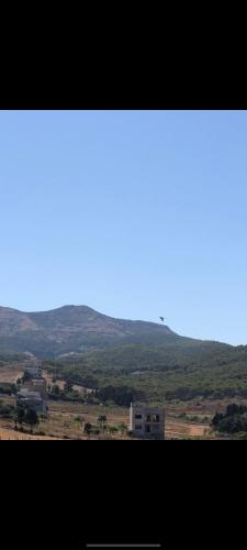 a view of a field with mountains in the distance at Elmerzougui in Azla