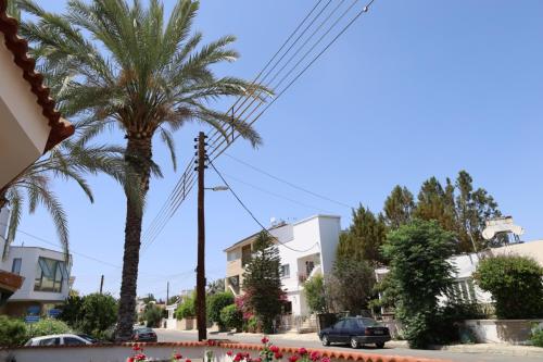 a street with palm trees and cars on the street at Zeta Suites 2 Nicosia in Ayios Dhometios