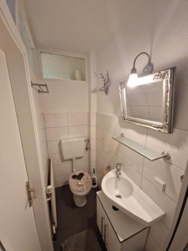 a bathroom with a toilet and a sink and a mirror at Ferienappartements Haus Jörn in Wieda