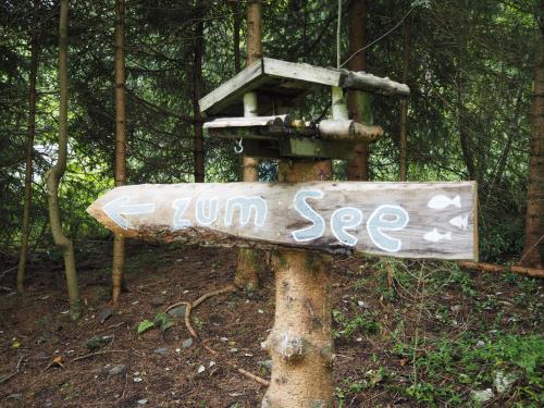 a sign in the woods with graffiti on it at Harzklub Wanderheim in Wildemann