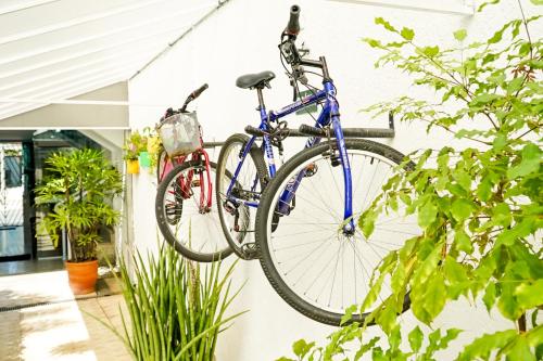 a bike is hanging on a wall at Velinn Pousada Remanso do Mar in Ubatuba