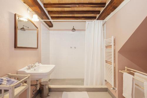 a bathroom with a sink and a shower at Tregole in Castellina in Chianti