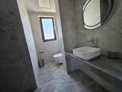 a bathroom with a sink and a mirror and a toilet at villa Amethyst in Lozenets