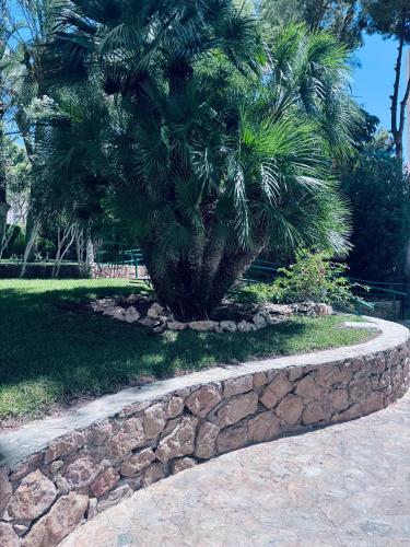 Araya Apartments photo 19