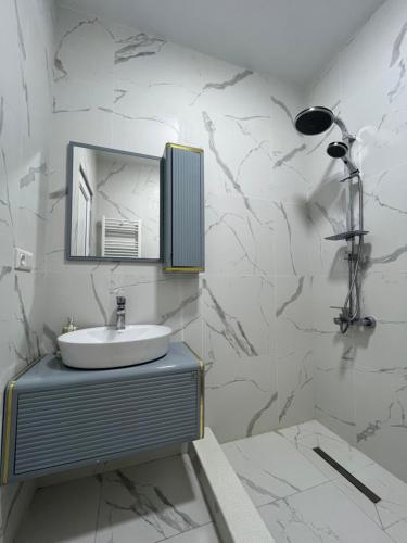 ItʼkhvisiDS & Sea Suites Batumi的浴室里有洗手池和镜子