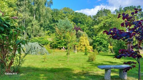 a bench in the middle of a garden with trees at Ostsee Hotel-Pension An der Lindenallee in Bad Doberan