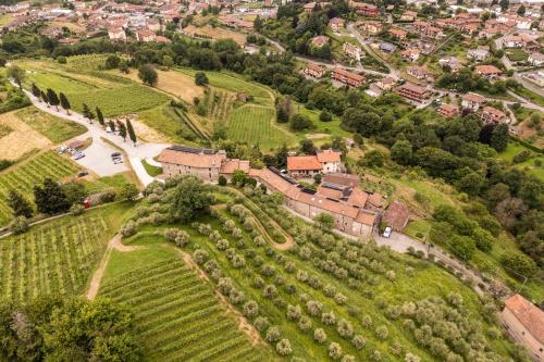 an aerial view of a village with a vineyard at Borgo Capietaglio Wine Resort in Gromlongo
