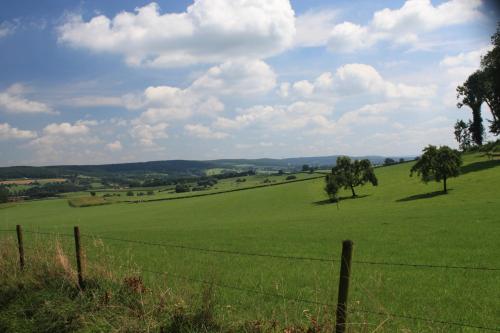 a large green field with trees and a fence at Hotel Gerardushoeve in Heijenrath