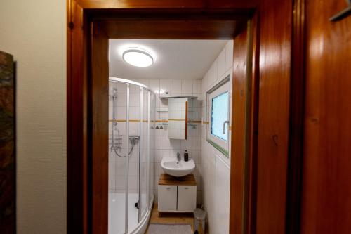 a small bathroom with a sink and a shower at Roter Fuchsbau am Eichwald in Gossersweiler-Stein