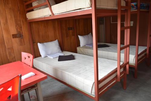 a room with two bunk beds and a desk at Green Hut Nature Resort in Sigiriya