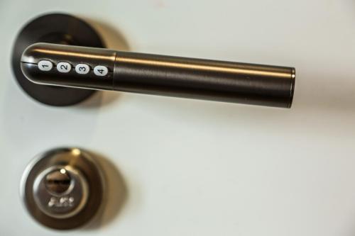 a black and gold door handle next to a knob at Hotel Maruja en Cascorro in Madrid