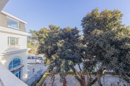 two trees in front of a building and a street at Estoril na praia in Estoril