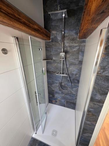 a shower in a bathroom with a stone wall at Froschgass Apartments in Klingenberg am Main