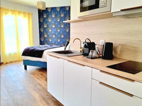 a kitchen with a sink and a bed in a room at Domaine de la Mautanne in Sainte-Tulle